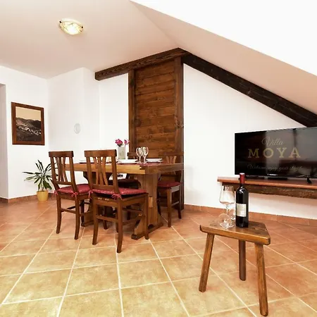 Apartment Moya 1 Fuzine